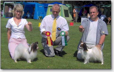 Saturday's show