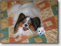 Chip relaxing
