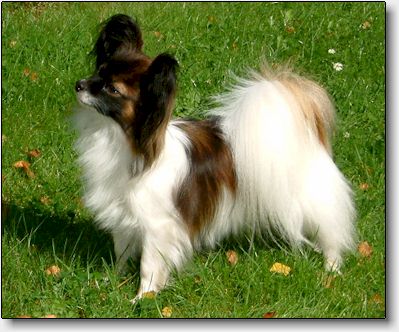 Petra at 19 months