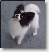 Rocke on his tiptoes