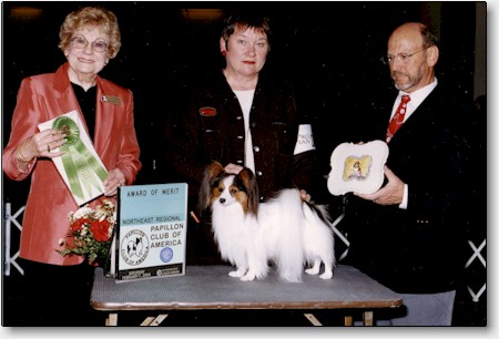 Tip winning an Award of Merit at the PCA NE Regional Specialty, New York