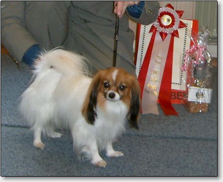 Trixie in March 2004